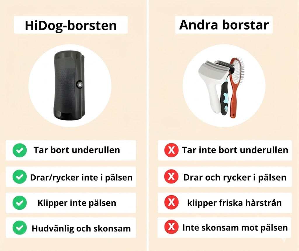 HiDog-Borsten